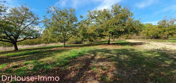 Terrain à vendre de 4 100 m²