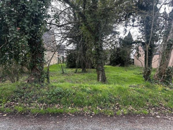 A VENDRE 56 SURZUR MAISON ANCIENNE SUR BEAU TERRAIN DE 767 m²