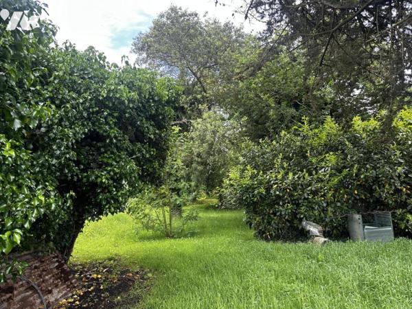 A VENDRE 56 SURZUR MAISON ANCIENNE SUR BEAU TERRAIN DE 767 m²
