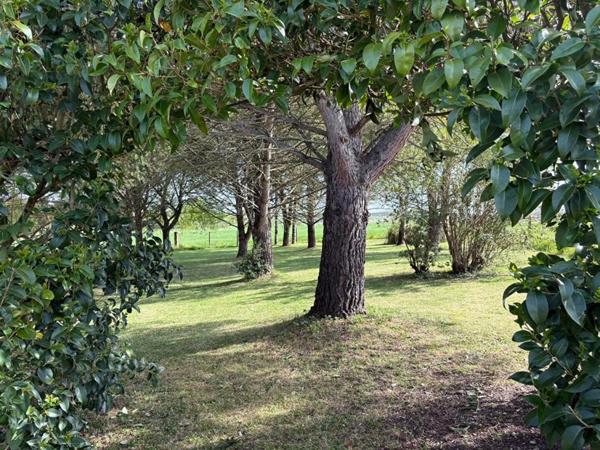 Maison plain -pied Saint Fort Sur Le Ne 130m² AVEC PISCINE GARAGE