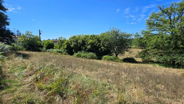 TERRAIN CONSTRUCTIBLE  + AGRICOLE - ENVIRONNEMENT CAMPAGNE