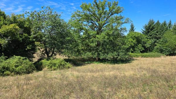 TERRAIN CONSTRUCTIBLE  + AGRICOLE - ENVIRONNEMENT CAMPAGNE