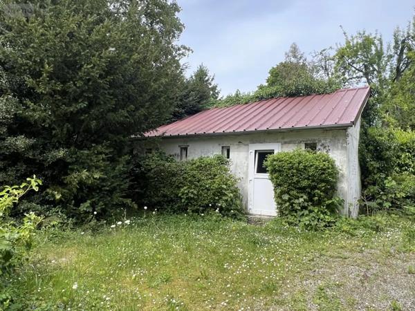 Achat - Maison Rives d'Andaine 61140 6 pièces 144 m 2 3600 m 2