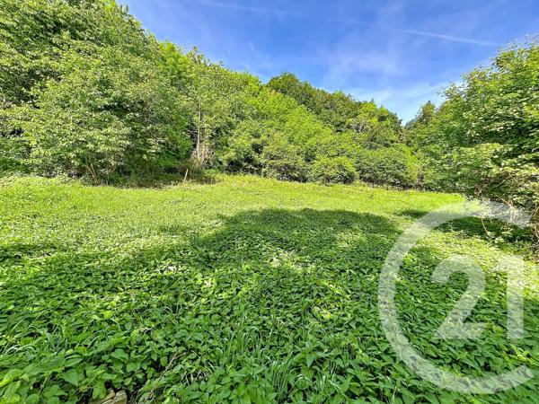 Terrain à vendre  31130 m 2   RETOURNAC  - 43