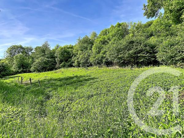 Terrain à vendre  31130 m 2   RETOURNAC  - 43