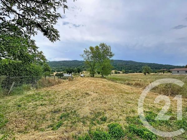 Terrain à vendre  31130 m 2   RETOURNAC  - 43