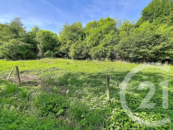Terrain à vendre  31130 m 2   RETOURNAC  - 43