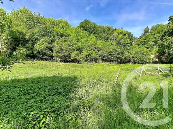 Terrain à vendre  31130 m 2   RETOURNAC  - 43