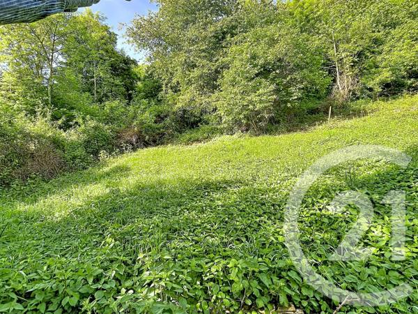 Terrain à vendre  31130 m 2   RETOURNAC  - 43