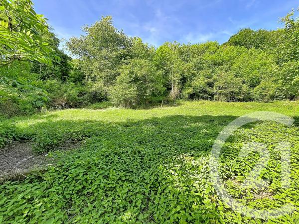 Terrain à vendre  31130 m 2   RETOURNAC  - 43