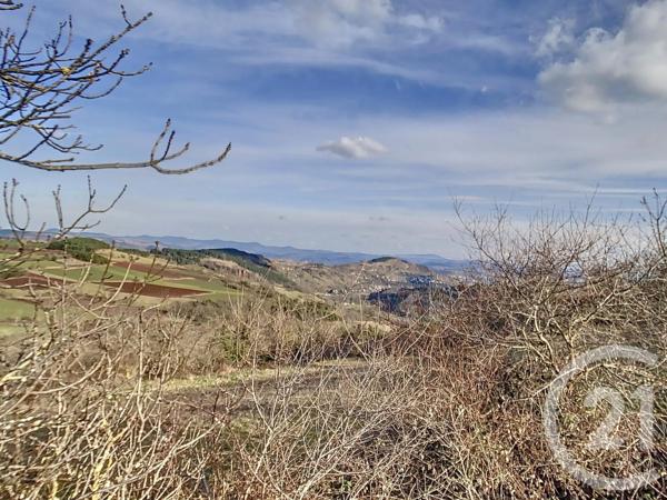 Terrain à vendre  31130 m 2   RETOURNAC  - 43