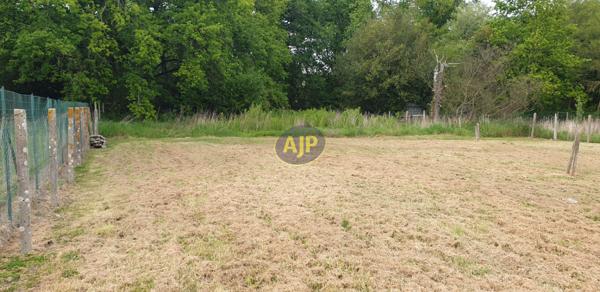 Vente terrain Saint Vivien De Medoc : 69 000 € - AJP Soulac Immobilier