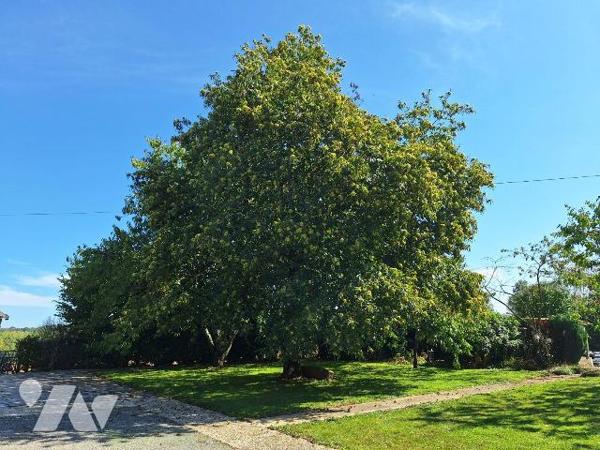 Maison d'habitation, comprenant :
- au rez de chaussée : pièce de vie, dégagement, salle d'eau...