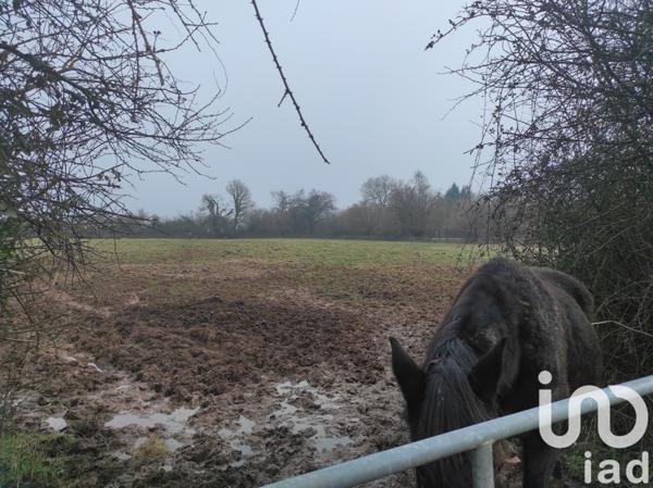 Terrain à vendre 9 250 m² Graignes-Mesnil-Angot