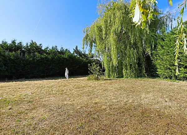 Terrain à vendre    Chambourcy