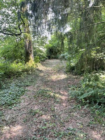 Lacs à vendre à Le Grand-Bourg (23240) - Creuse