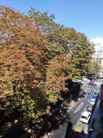 Appartement · Location Paris (75005) 1 pièce · 22m²