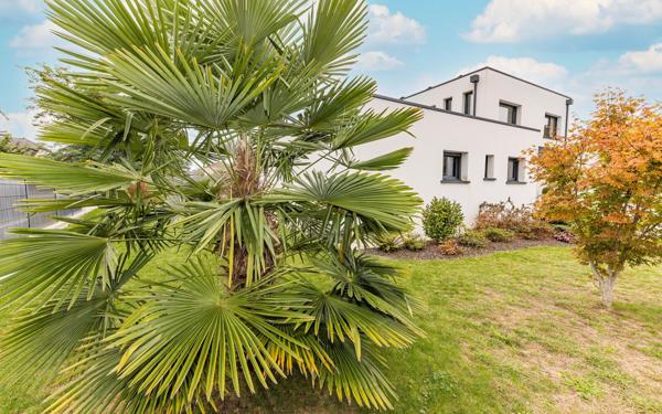 Maison à vendre    4 pièces •  Lons