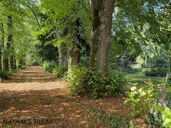Maîson de Maître, proche Orléans, chateau, à  vendre, Orléans est, parc et dependances.