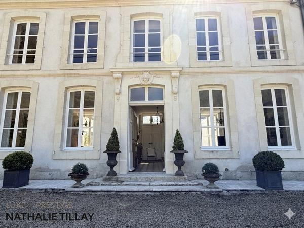 Maîson de Maître, proche Orléans, chateau, à  vendre, Orléans est, parc et dependances.