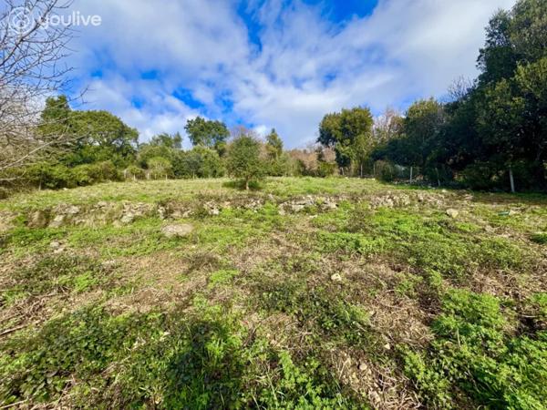 Terrain constructible 2 092 m² – TALASANI – Vue mer, village et