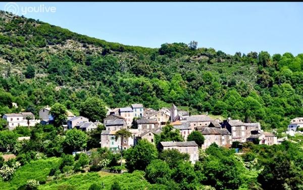 Terrain constructible 2 092 m² – TALASANI – Vue mer, village et
