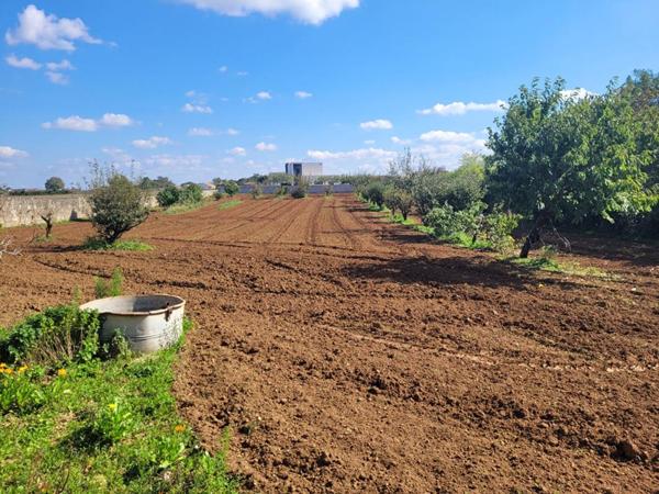 Terrain Saint Martin De Fraigneau 3000 m2