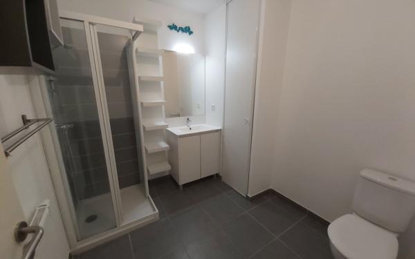 Appartement à louer    1 pièce •  Castelnau-le-Lez