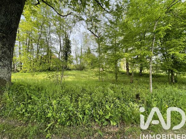 Terrain à vendre 754 m² Droiturier