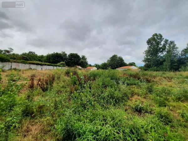 Terrain à Batir à vendre à Saint-Hilaire-de-Riez en Vendée (85270), ref : 85091-5170