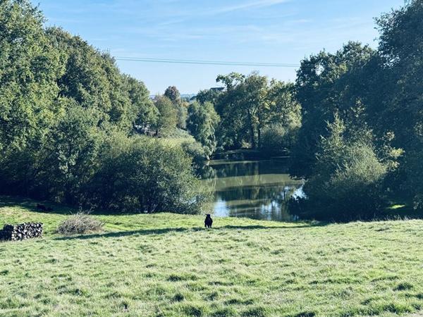 EXCLUSIVITÉ ? Propriété d'exception de 380 m² sur 2 hectares