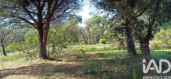 Terrain à vendre 3 231 m² Sainte-Maxime