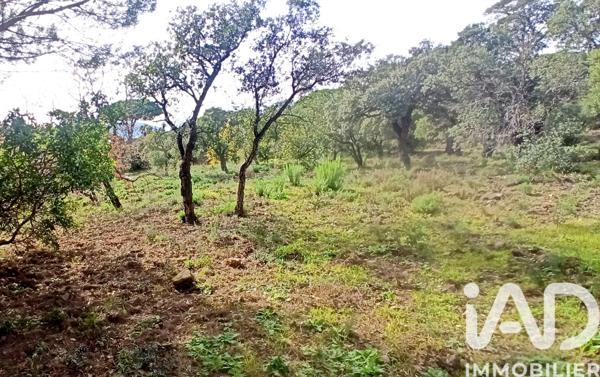 Terrain à vendre 3 231 m² Sainte-Maxime