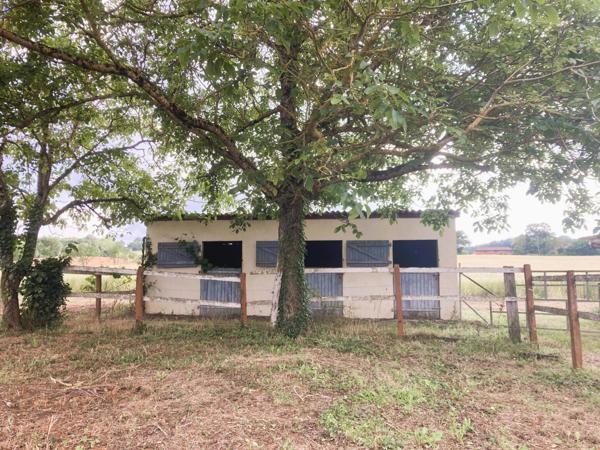 Ancienne ferme, 3 chambres à 5 mn de Marciac