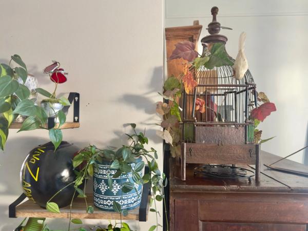 2 pièces cosy au coeur de La Garenne Colombes