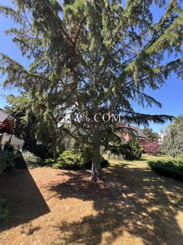 Terrain à batir