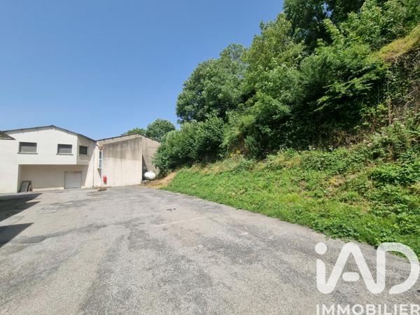 Maison à vendre 17 pièces 900 m² Lacaune