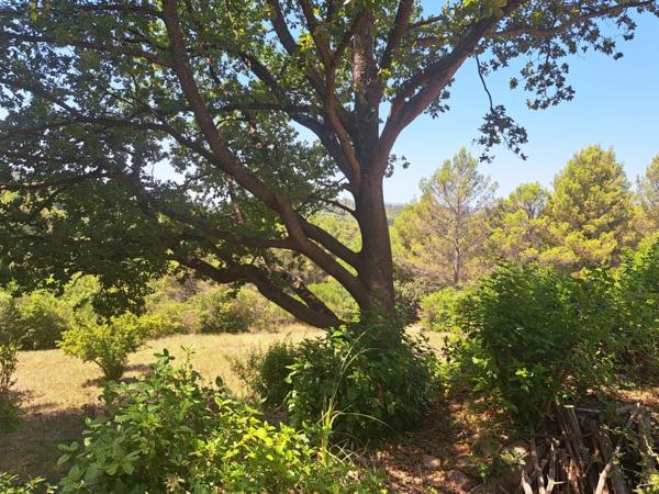 Maison à vendre 6 pièces AURIOL (13) au calme absolu / 22905m² en Zone Naturelle (NS)