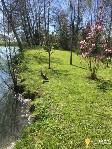 Votre recherche de biens