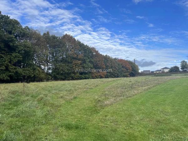 Vente Terrain 7500 m2 à Plouguenast-Langast