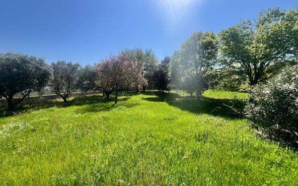 Maison à vendre    4 pièces •  Mireval