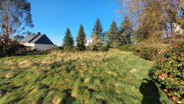 Terrain à Batir à vendre à Pluvigner dans le Morbihan (56330), ref : 56080-944