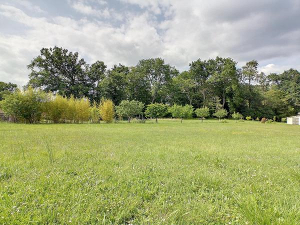 Terrain de 1000 m² au calme