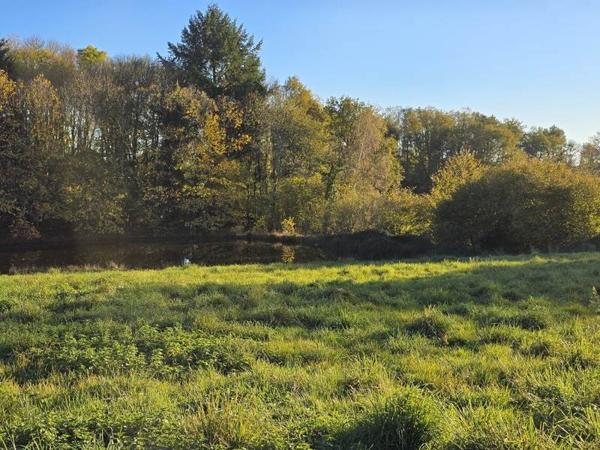 Maison à vendre |  Ladignac-le-Long |  2 pièces | 76 m²