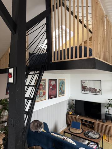 Appartement 1 pièce - 50 m² Exclusivité efficity