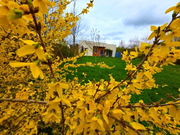 Contemporaine 4 chambres avec grande pièce de vie !