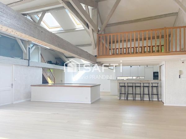 Grand appartement 152m²,  beaux volumes, terrasse sans vis à vis