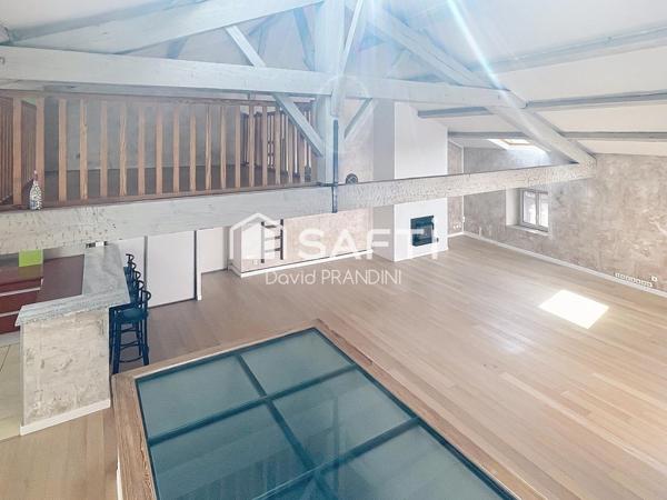 Grand appartement 152m²,  beaux volumes, terrasse sans vis à vis