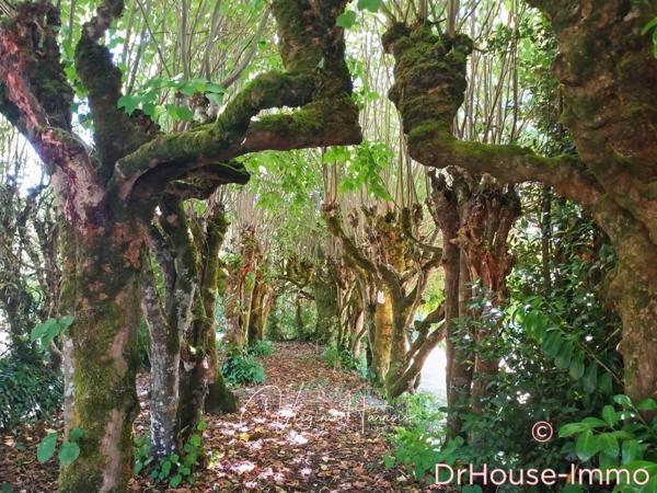 Maison à vendre 7 pièces de 235 m²