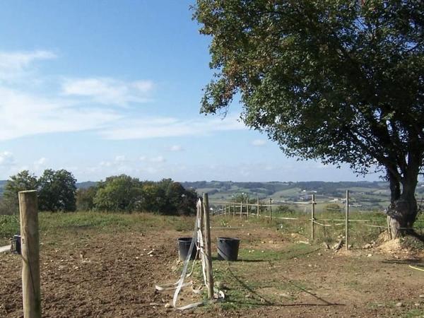 ACHAT : MAISON / VILLA - Lembeye - Pyrénées-Atlantiques (64)